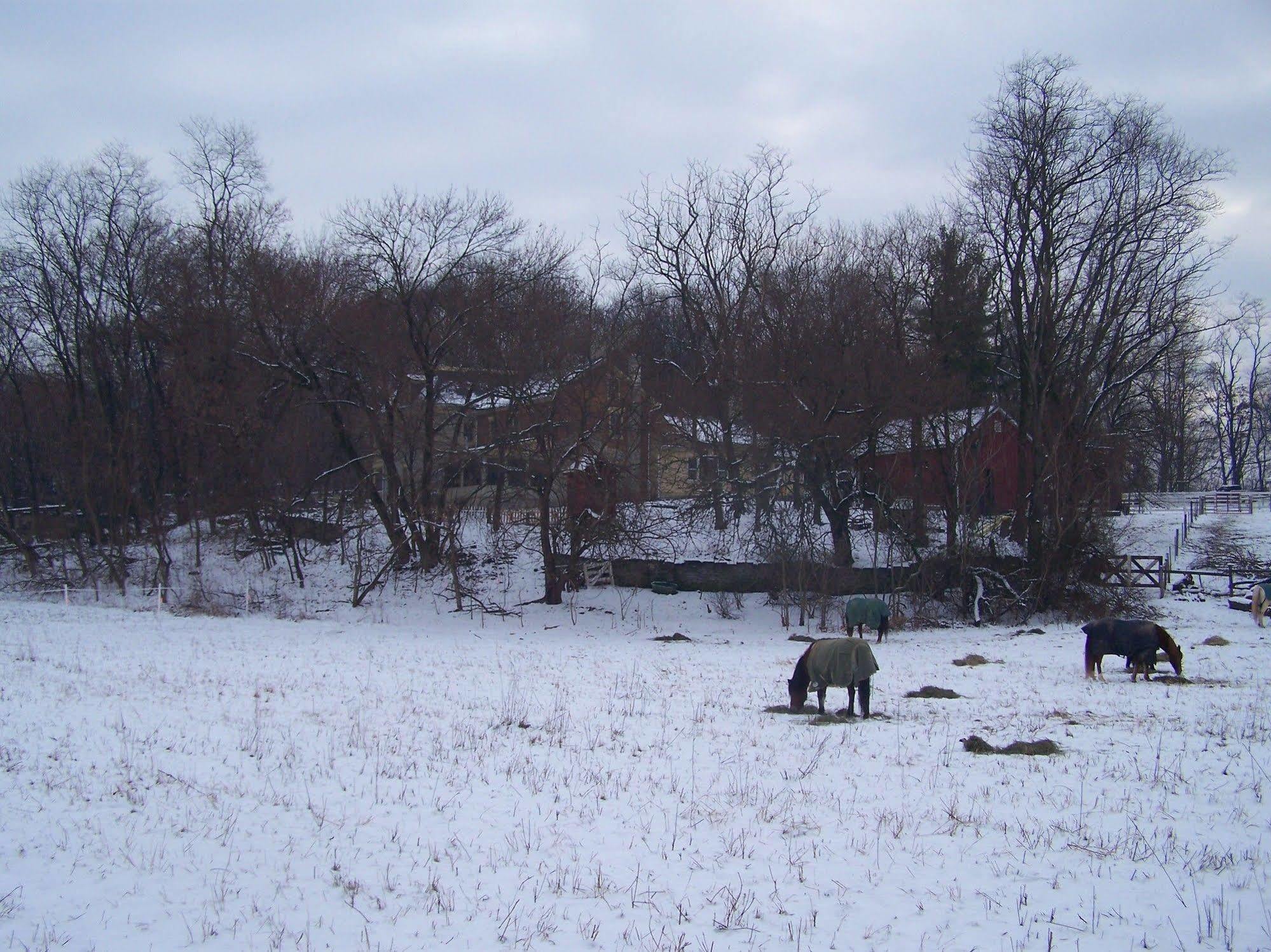 Fallen Tree Farm Bed and breakfast 2*
